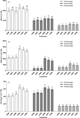 Combined toxicity of multiwall carbon nanotubes and cadmium on rice (Oryza sativa L.) growth in soil